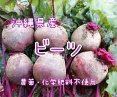 沖縄県産】ビーツ約2kg(箱込) 農薬・化学肥料不使用 - メルカリ