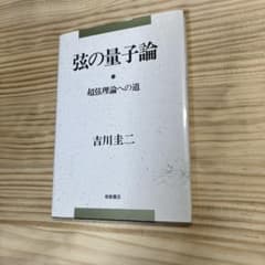 弦の量子論 超弦理論への道 吉川圭二のサムネイル