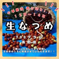 新鮮！生なつめ700グラム　１４日まで！！のサムネイル