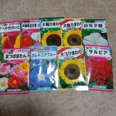 TOHOKU SEED 花の種セット - メルカリ
