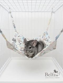 Belfa 小動物用 ハンモック チンチラ柄 花火柄のサムネイル