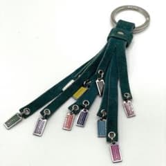 Vintage COACH Teal Suede Tassel Charm - メルカリ