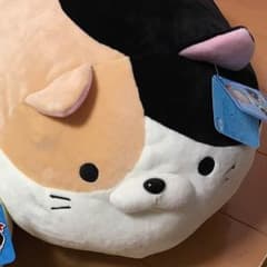 ごろねこサミットのサムネイル