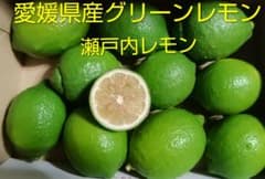 愛媛県産　瀬戸内グリーンレモンのサムネイル