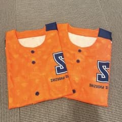 【緊急値下げ！2枚セット】清水エスパルス 記念ユニフォーム 2024 国立限定のサムネイル