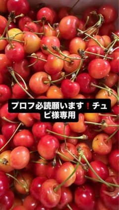 プロフ必読願います❗チュピ様専用のサムネイル