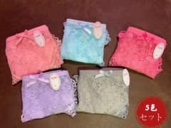 匿名配送新品総レース花柄ショーツ5枚セット Lサイズ セクシー女性用下着送料無料のサムネイル