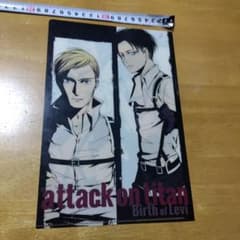 Attack Titan A Choice Without Regrets: Levi & Erwin B-5 Clear File