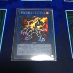 転生炎獣サンライトウルフのサムネイル