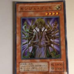 センジュゴッドのサムネイル