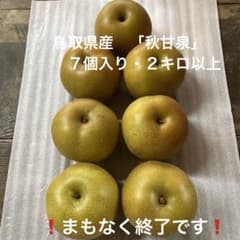 30 . 鳥取県産　秋甘泉　農家直送　 　　　　　　 　　　　2キロ以上のサムネイル
