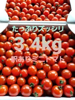 農家直送 香川県産 [訳あり] ミニトマト 6.8kgのサムネイル