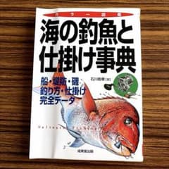 海の釣魚と仕掛け事典 : 船釣り・堤防釣り・磯釣りの釣魚61種の釣り方・仕掛け…のサムネイル