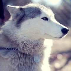 ケイコママ様のサムネイル