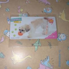 おしゃべりわんこ　おもちゃあそびわんこ　カード　わんこナンバー28