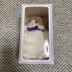 藤原樹メンプロのサムネイル
