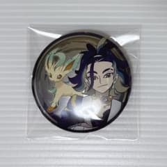 ポケモンレジェンズアルセウス ヒスイ地方 セキ 缶バッジ - メルカリ