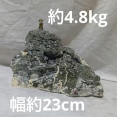 自然石 約4.8kgのサムネイル