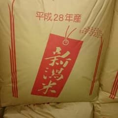 ニャンチュウさん専用のサムネイル
