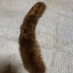 SAGA FOX ファー マフラー ブラウンのサムネイル