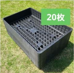 愛苗トレー B-40 黒　プラスチックバスケット　トレーのサムネイル