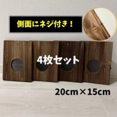 【中株サイズ】ビカクシダ 着生板 4枚セット 側面ネジ付き 20×15cm #Jのサムネイル