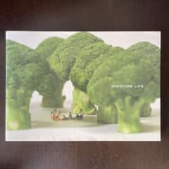 MINIATURE LIFE ミニチュアライフのサムネイル