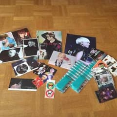 SHINee JONGHYUN ONEW 公式グッズ他 ペンライトのサムネイル