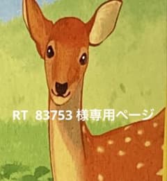 RT 83753 様専用ページのサムネイル
