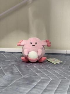ポケットモンスター　ラッキー　2点セット