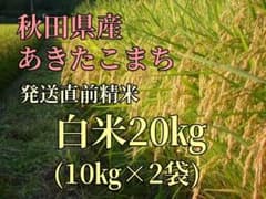 最高等級1等米 令和7年 あきたこまち白米20kg 【発送直前精米】のサムネイル