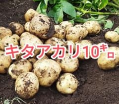 キタアカリ　10キロ　大中小ミックス　土付きのサムネイル