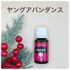 新品10%オフ　ヤングアバンダンス　15ml ブルジョアに好まれるリッチな香り 新品10%オフ ヤングアバンダンス 15ml ブルジョアに好まれるリッチな