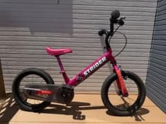 STRIDER 14x ピンク 少しカスタムのサムネイル