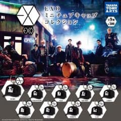 EXO  グッズ キーホルダーのサムネイル