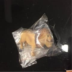 シャクレルプラネットのサムネイル