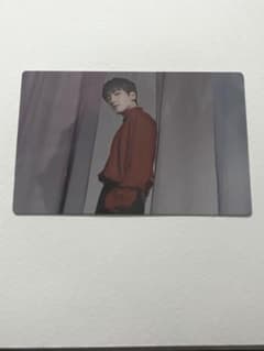 SEVENTEEN セブチ パワラブ トレカ ウォヌ 58番のサムネイル