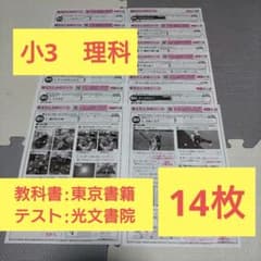 小3 国語 カラーテスト 答えたしかめシート 光文書院 東京書籍 14枚 小3 国語 カラーテスト 答えたしかめシート 光文書院 東京書籍 14枚