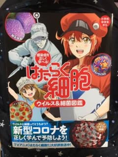 感染症を正しく学べる! はたらく細胞 ウイルス&細菌図鑑のサムネイル