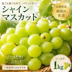 山梨県産 シャインマスカット 1kg 朝採れ直送 期間限定価格のサムネイル