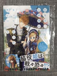 ある日、お姫様になってしまった件について 3のサムネイル