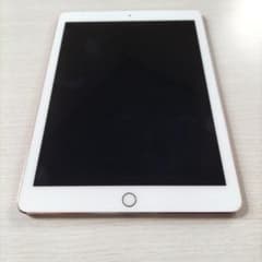 iPad Pro9.7 128G Cellular 로즈 골드