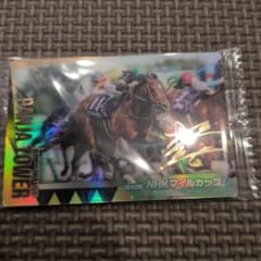 サラブレッドホースコレクション 第4R　サイン箔押し　パンジャタワー　026