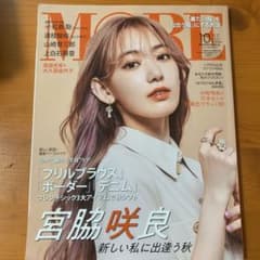 【明日発送】MOREのサムネイル