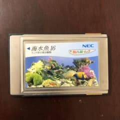 魚八景ジュニアカード 海水魚16のサムネイル