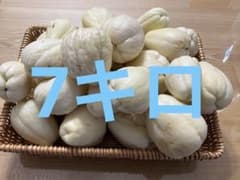 ハヤトウリのサムネイル