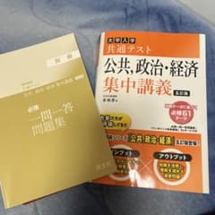 大学入学共通テスト 公共政治・経済集中講義のサムネイル