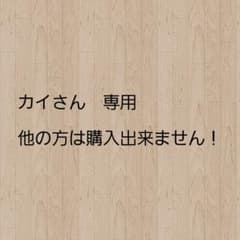 カイさん専用　他の方は購入できません！のサムネイル