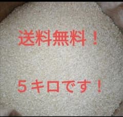 5キロ 白米砕け くず米 鶏 餌 鳥 飼料 送料無料 - メルカリ