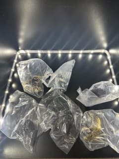 이치 반 복권 고질라 대괴수 열전 GG상 6종류 컴플리트 세트